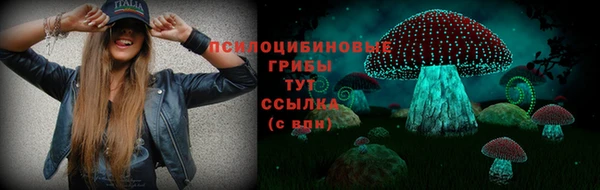 мет Мегион