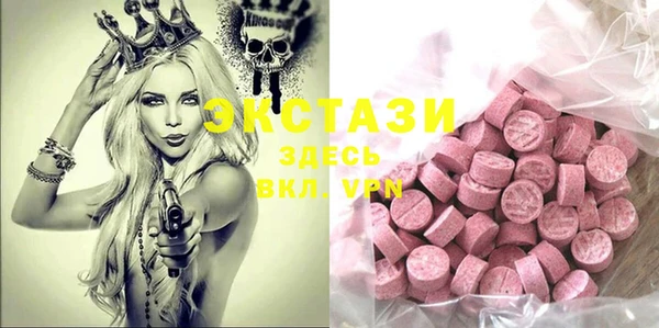 индика Билибино